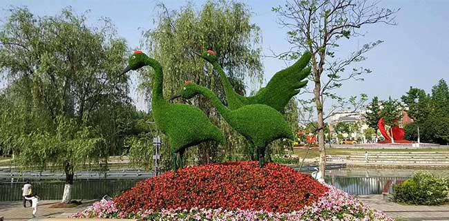 花不同园艺