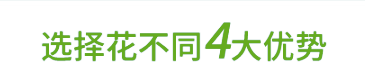 选择花不同四大优势